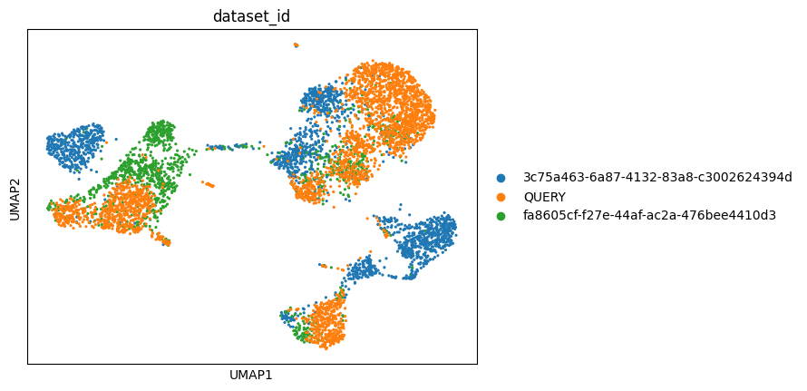 ../../_images/notebooks_analysis_demo_comp_bio_scvi_model_use_30_0.png