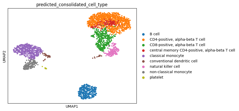 ../../_images/notebooks_api_demo_census_embedding_search_37_0.png