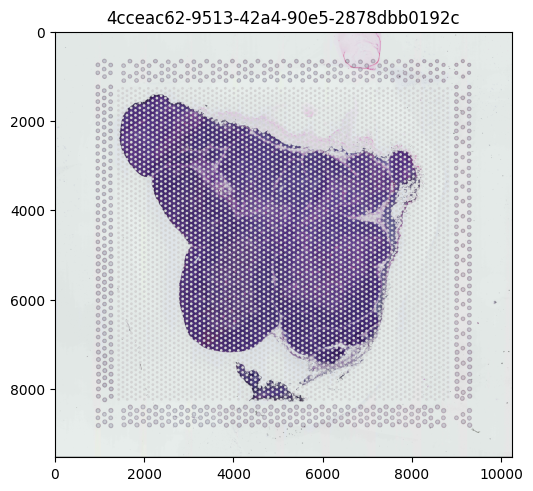 ../../_images/notebooks_api_demo_census_spatial_31_2.png