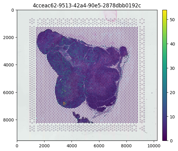 ../../_images/notebooks_api_demo_census_spatial_34_2.png