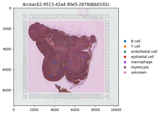 ../../_images/notebooks_api_demo_census_spatial_37_2.png