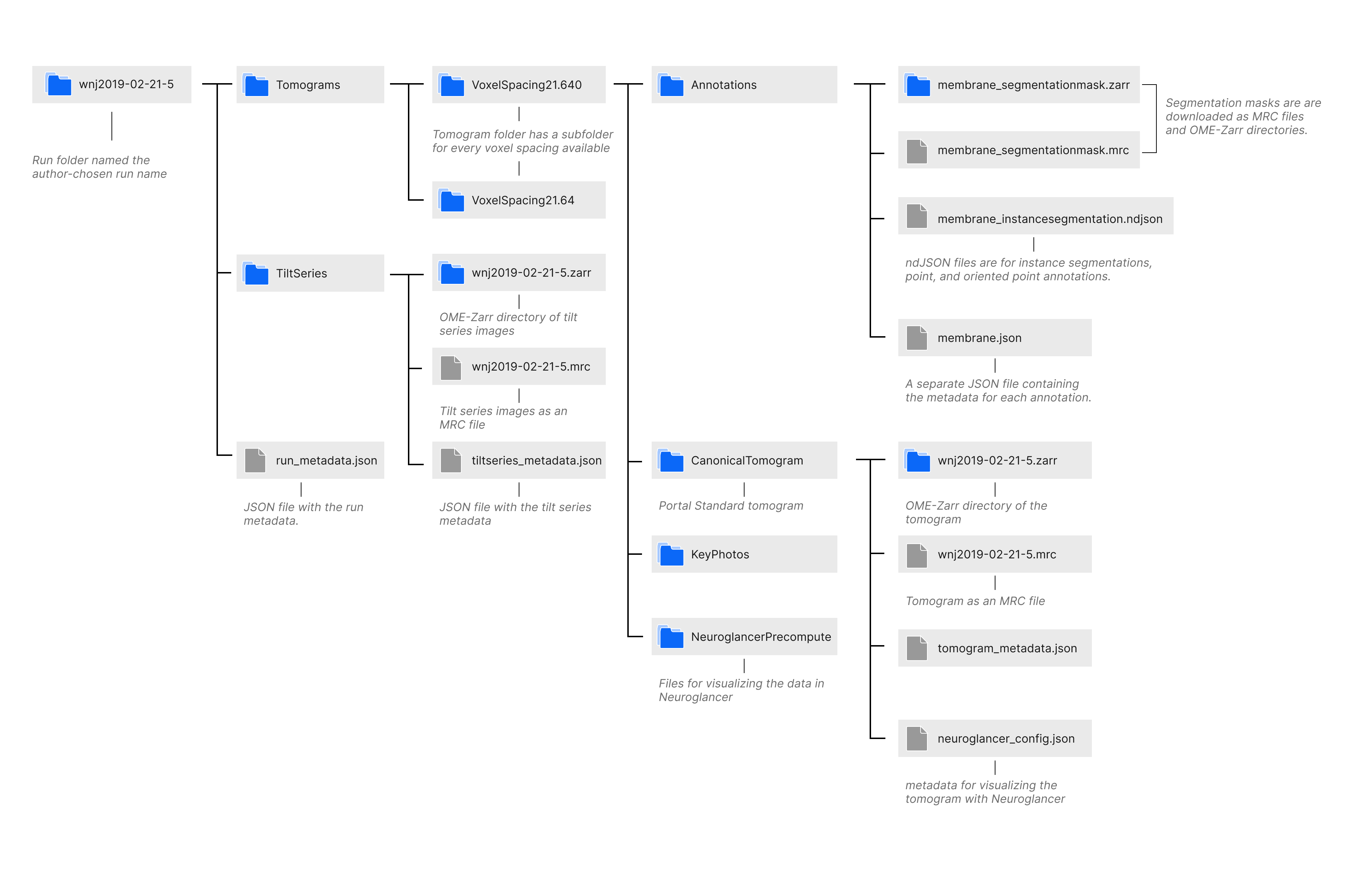 File Structure of a downloaded run