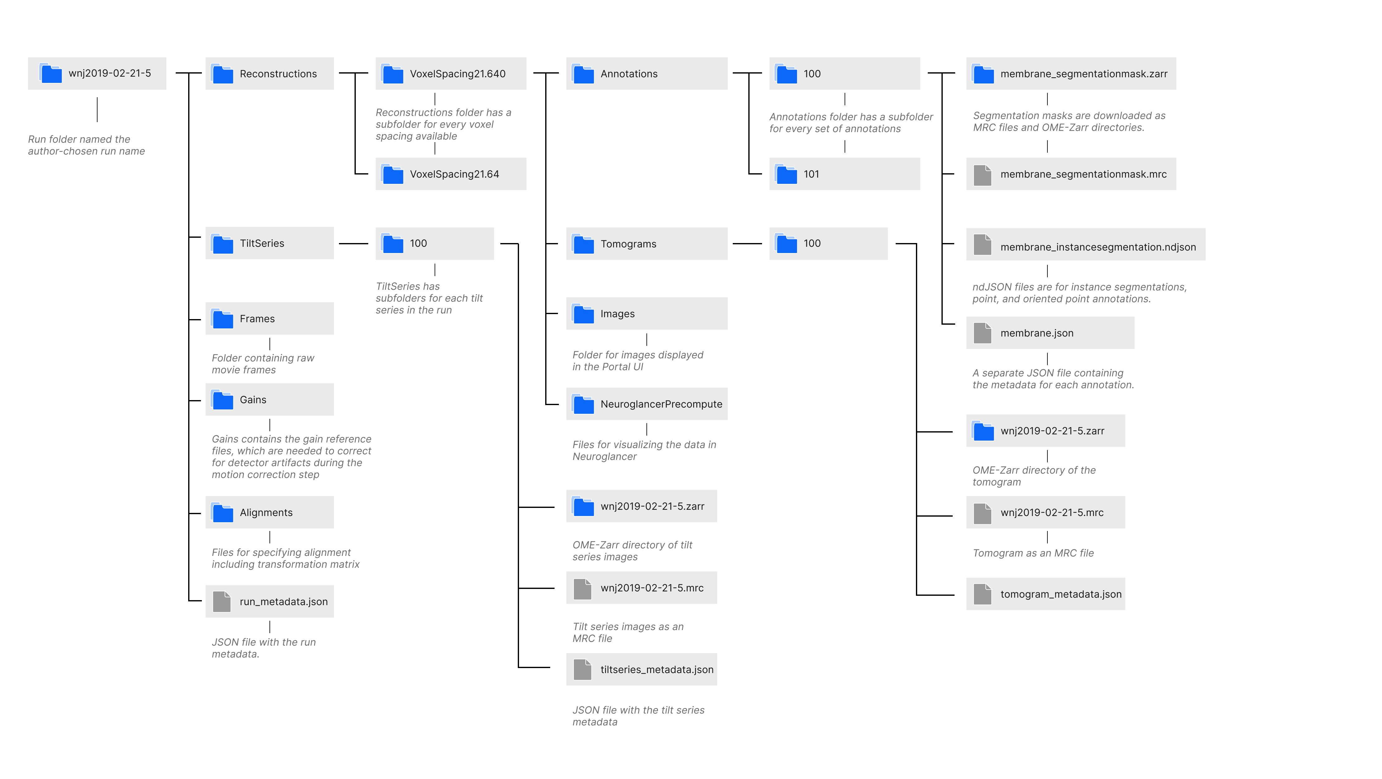 File Structure of a downloaded run