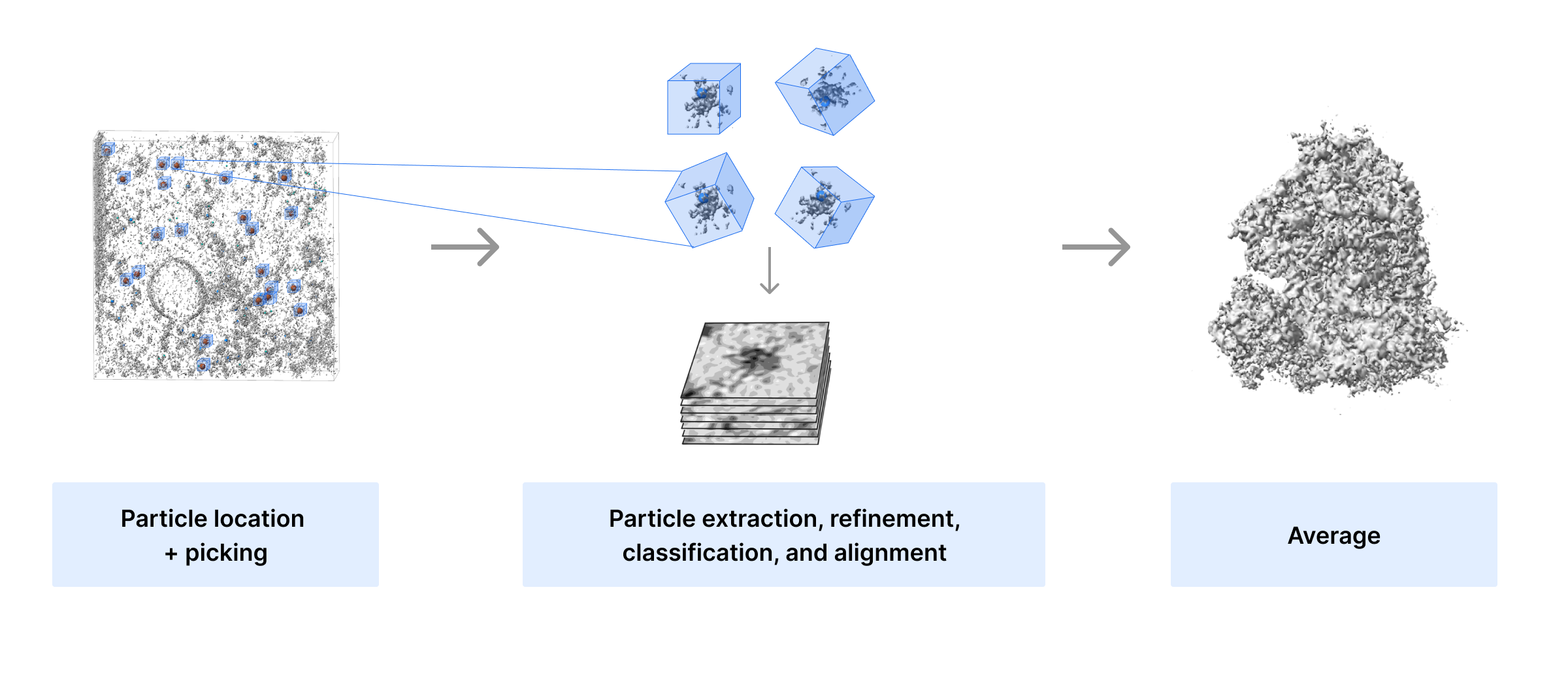 Overview of subtomogram averaging workflow.