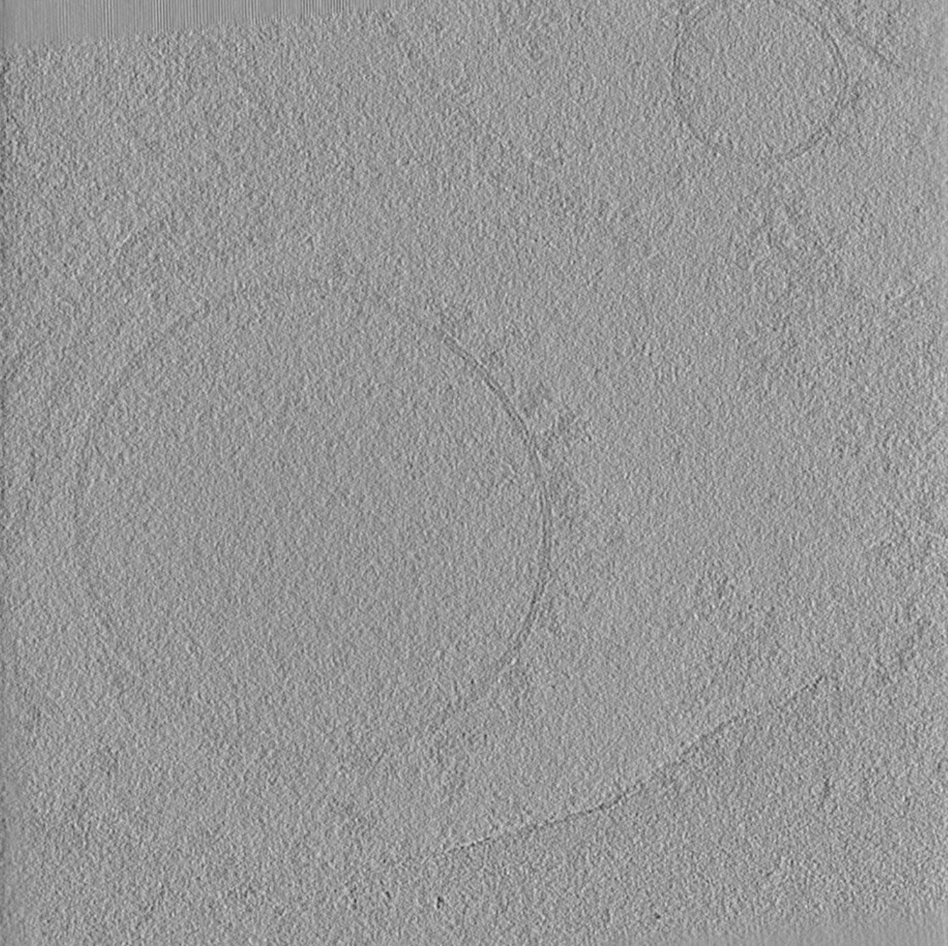 Movie clips of raw tilt series, tilt series after alignment, and tomogram of a purified lysosome.