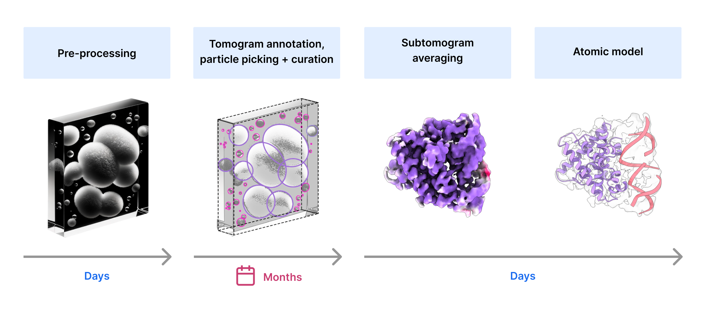 CryoET image processing workflow showing the time it takes to get through each step.