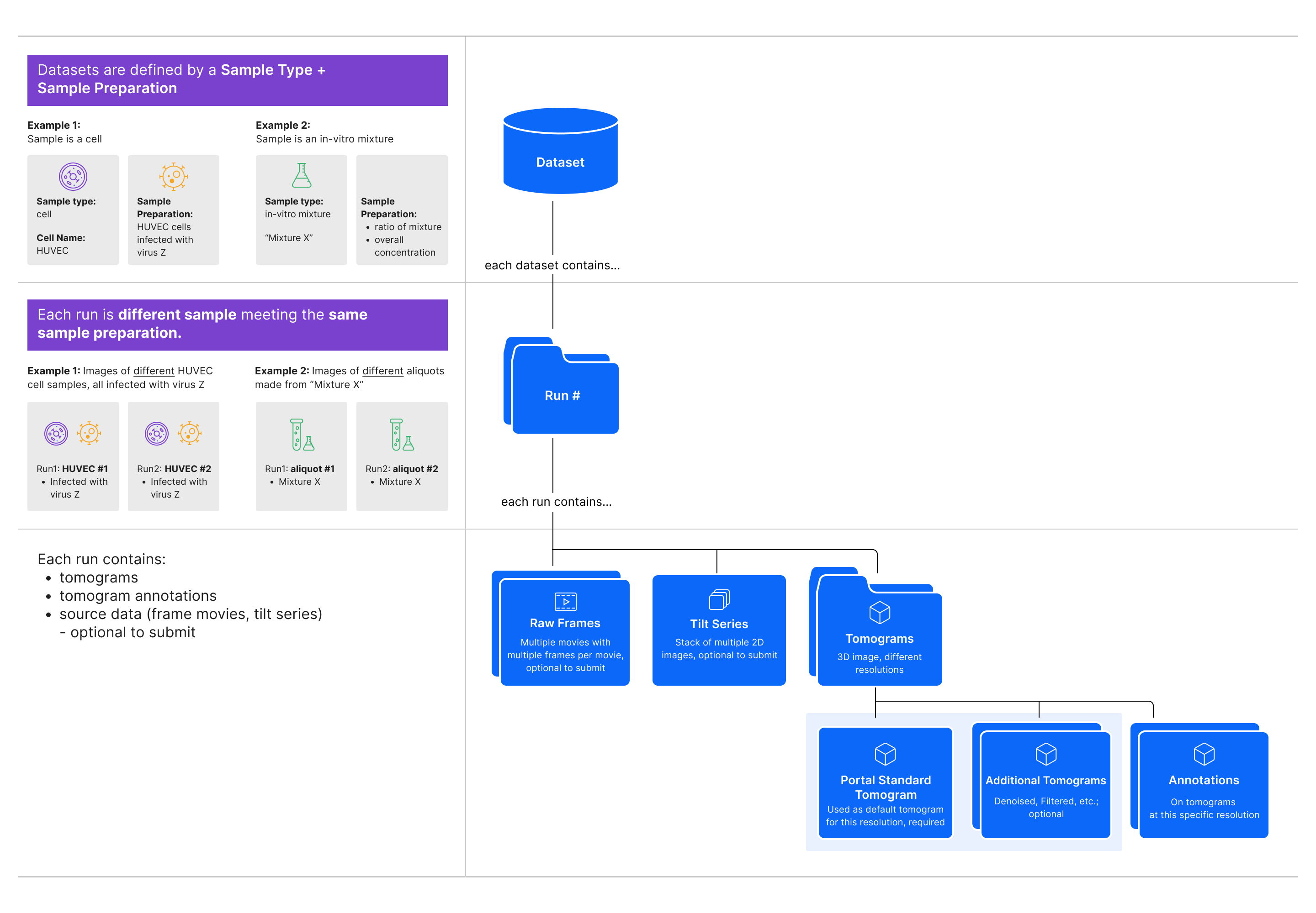 CryoET Data Portal Data Schema