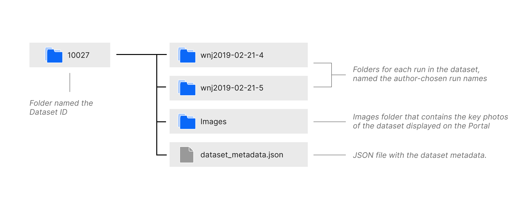 File Structure of a downloaded dataset