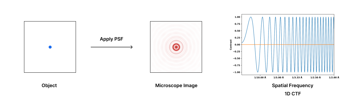 Illustration showing point spread function with oscillating dark and light rings around a central point, alongside plot of contrast transfer function oscillating between -1 and 1 across spatial frequencies.