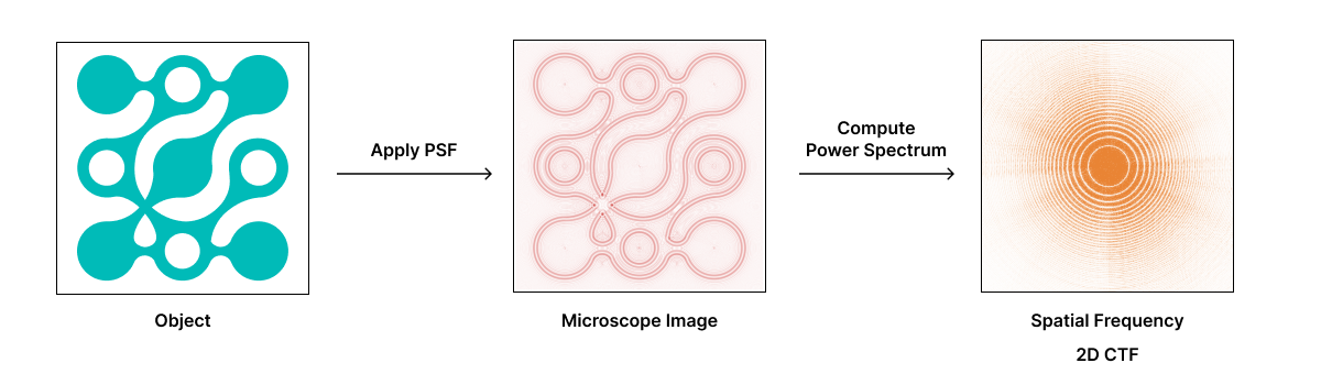 Diagram showing a 2D object on the left, a Microscope image of the object in the center (obtained through application of PSF), and the Fourier transform of the image on the right. The Fourier transform shows a power spectrum with white rings indicating frequencies where the CTF is zero, meaning no contrast at those frequencies.