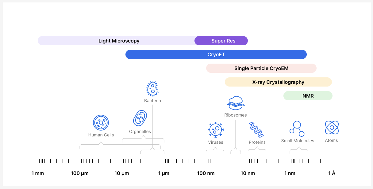 Schematic of resolution ranges achieved by different microscopy and structural determination methods.