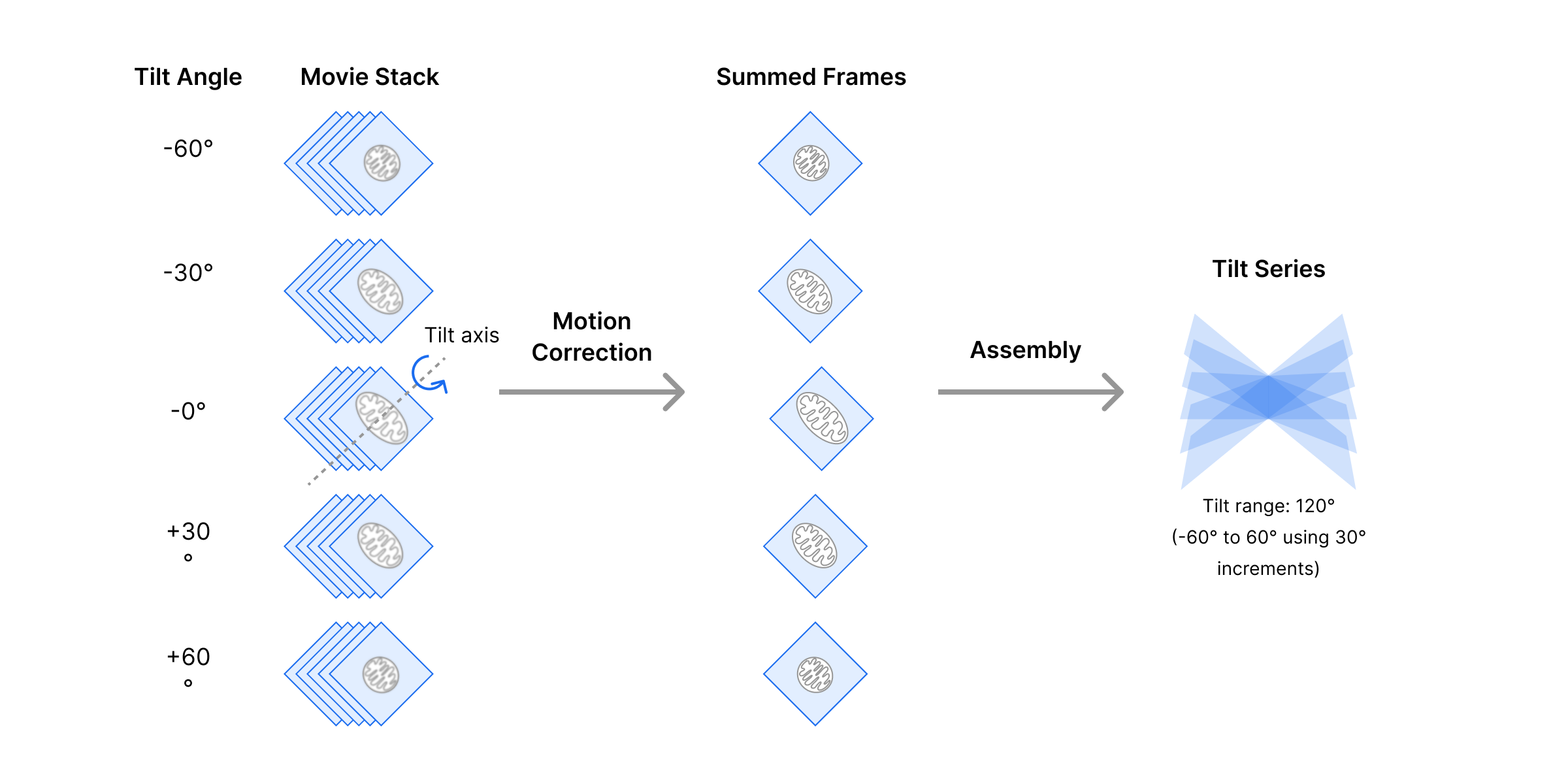 Schematic of tilt series assembly workflow.