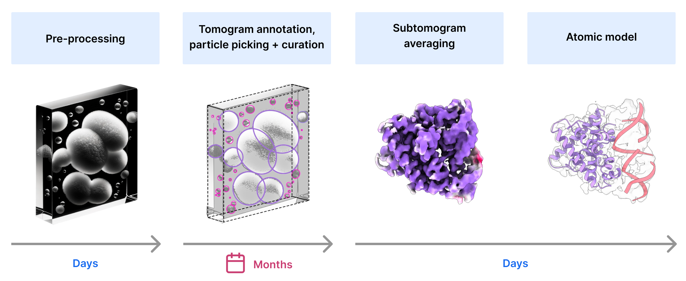 CryoET image processing workflow showing the time it takes to get through each step.