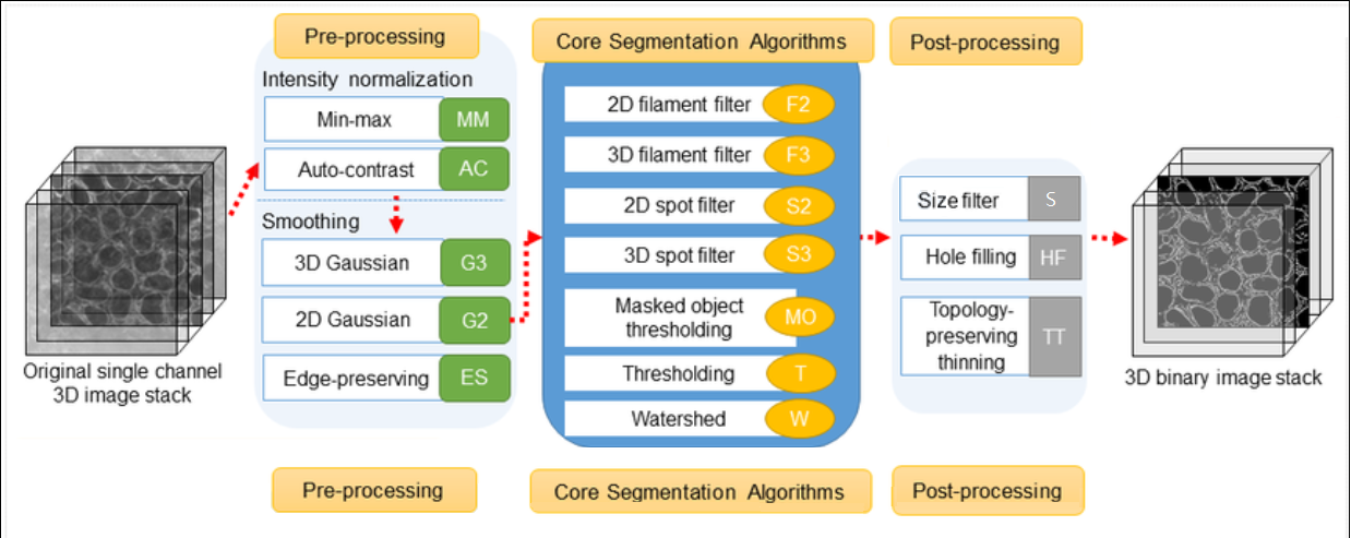 Samples of images segmented by Cellpose