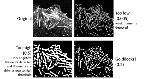 Setting threshold for an image in Allen Cell Segmenter