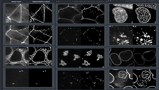 Reference library of images in Allen Cell Segmenter