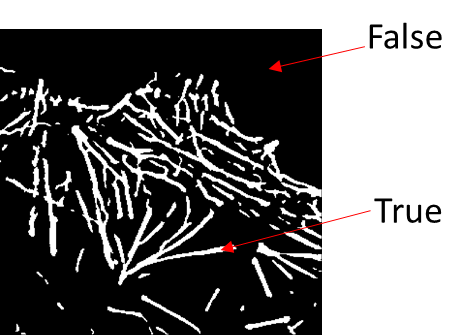 Intermediate steps of Allen Cell Segmenter as layers in napari viewer