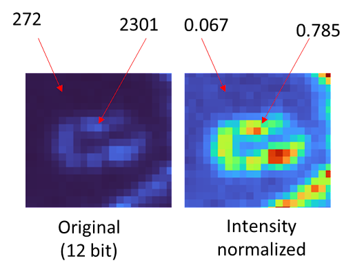 Intensity normalized in Allen Cell Segmenter