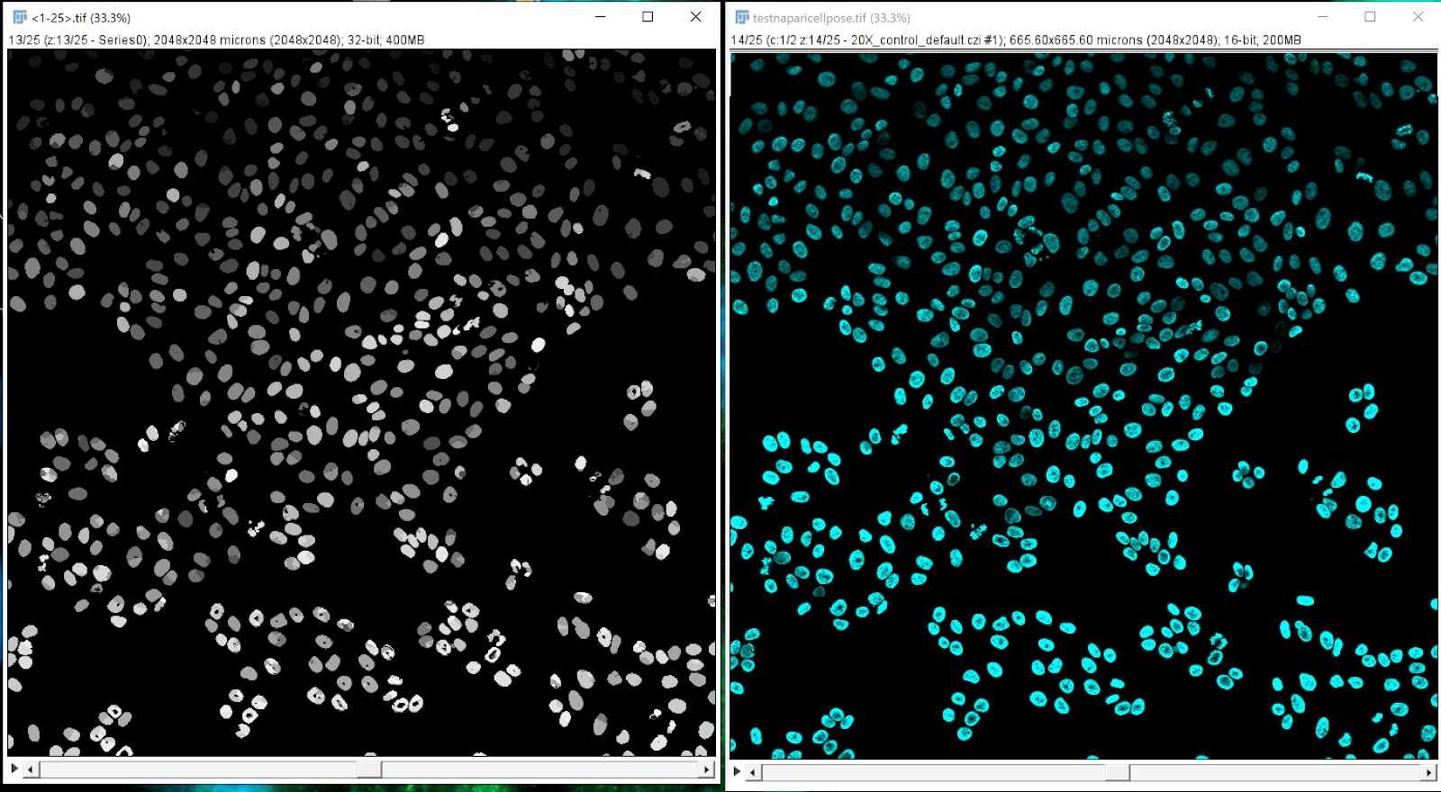 Using the plugin BioFormat importer