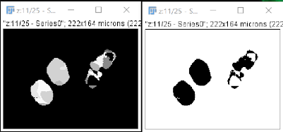 Binarization in FIJI