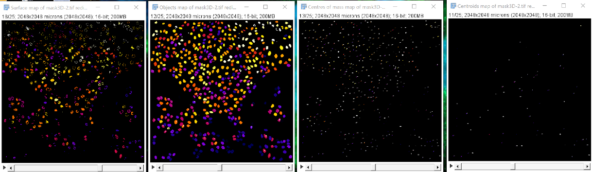 3D analysis in FIJI