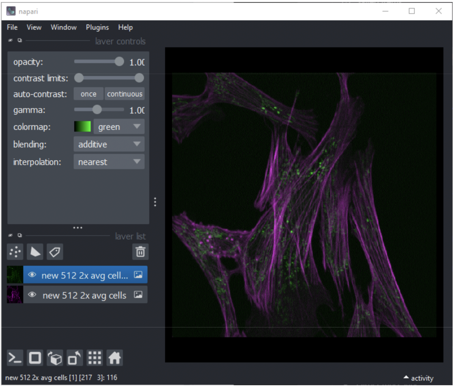 napari canvas showing opened nd2 image