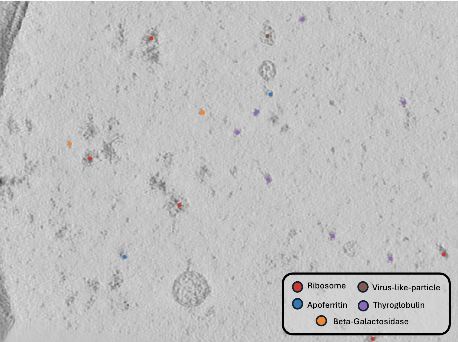 Coordinates Visualization