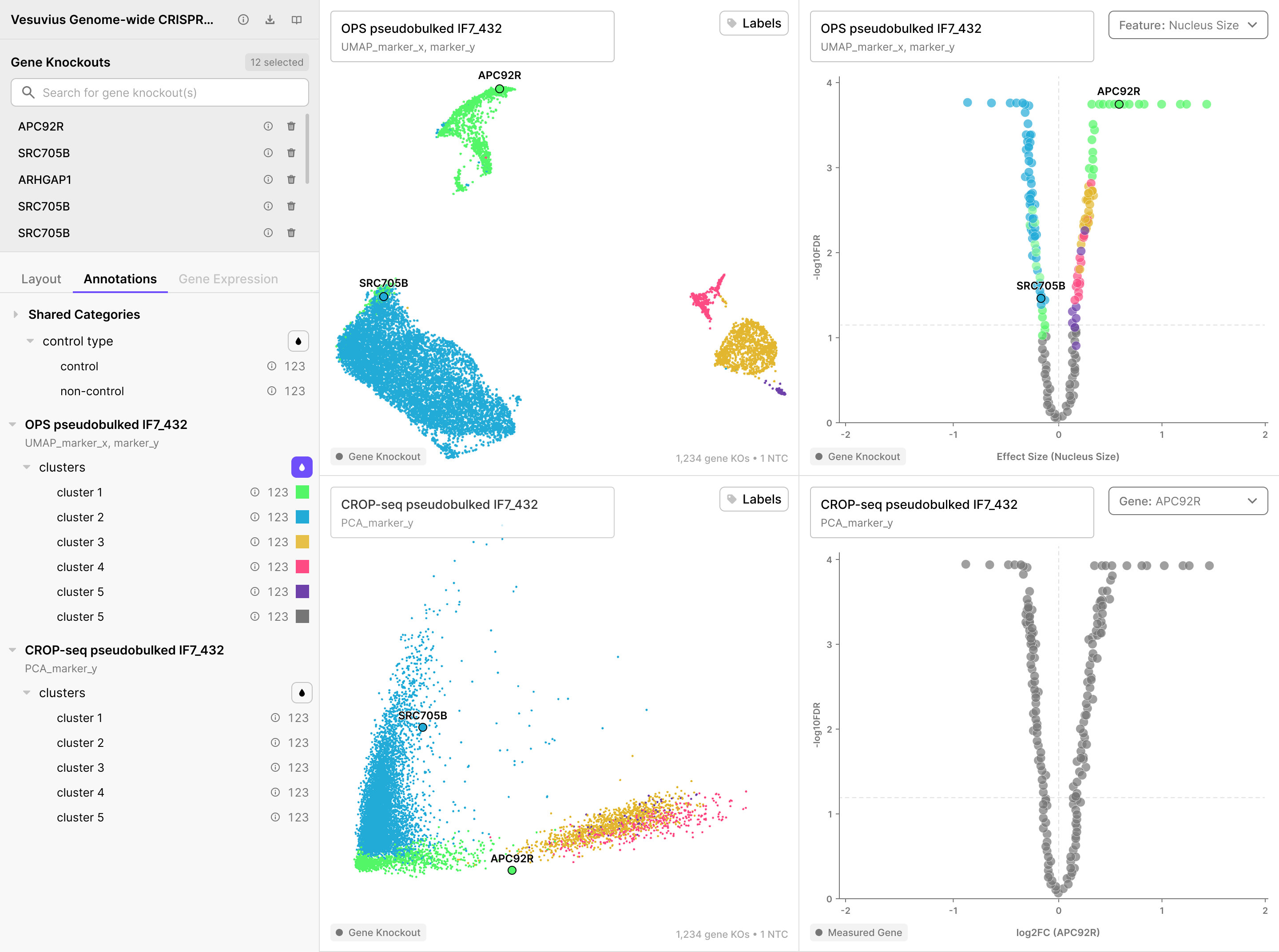 Colored UMAP with gene knockout name labels visible on selected knockouts