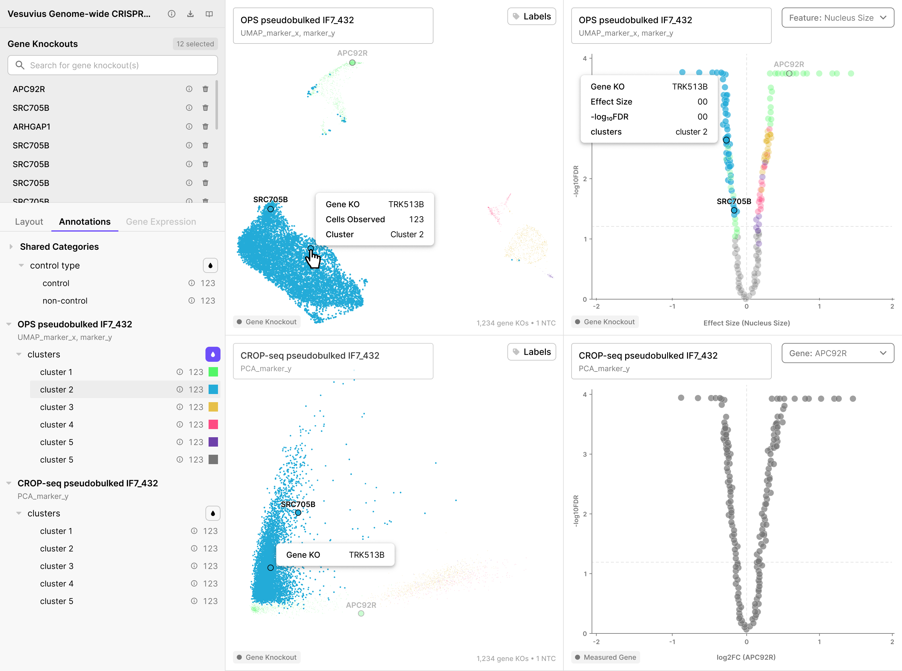 Four-panel view with cluster color active: hovered dot's cluster highlighted, all others faded, tooltip visible