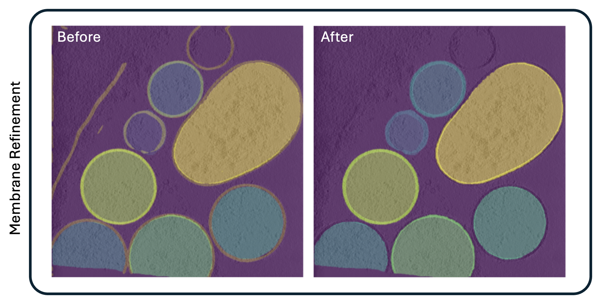 Membrane Refinement Example